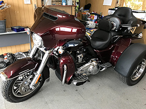 ハーレートライク